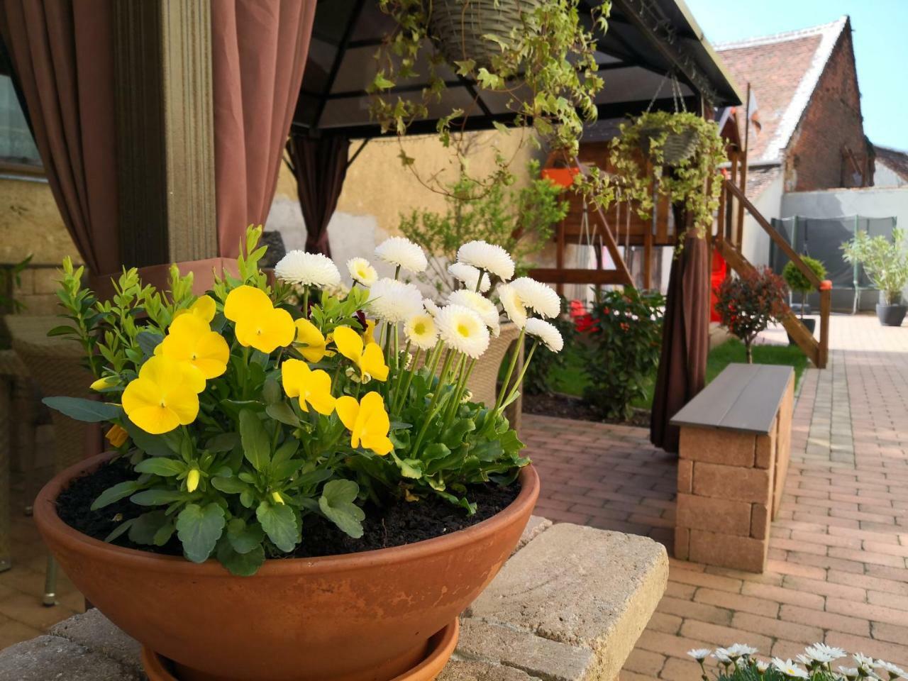 Korzo Apartman Koszeg Luaran gambar